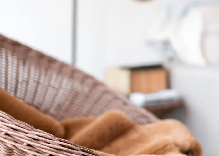 Apartment Acces Prive 4pers