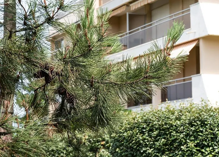 Acces Prive 4pers Arcachon